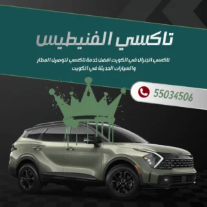 تاكسي الفنيطيس